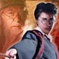 Dumbledore & Harry
