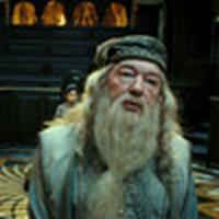 Dumbledore at the Wizengamot