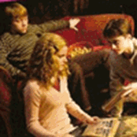 Ron, Hermione & Harry