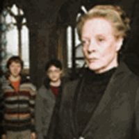 Prof. McGonagall, Ron & Harry