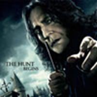 Snape banner