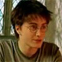 Daniel Radcliffe as Harry Potter