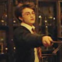 Daniel Radcliffe as Harry Potter