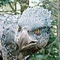 Buckbeak