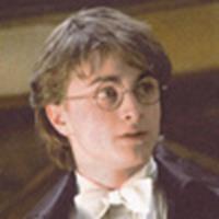 Harry 'Goblet of Fire'