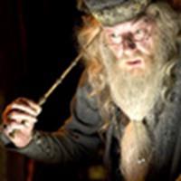 Michael Gambon as Dumbledore