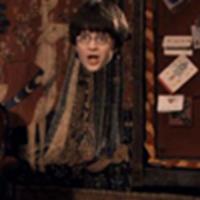 Harry & his invisibility cloak