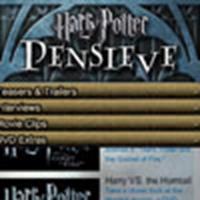 'Harry Potter Pensieve'