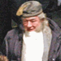 Gambon in costume